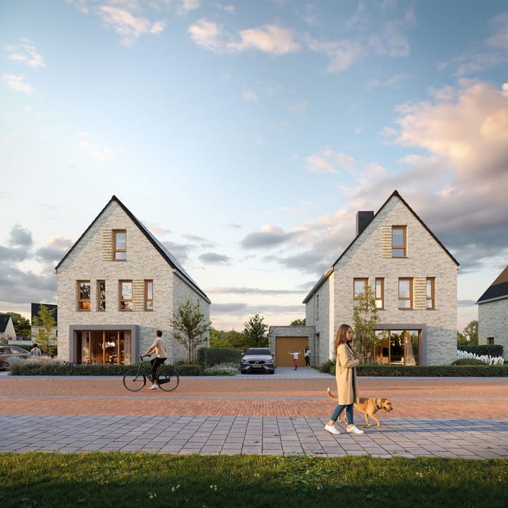 Haam 28 in Veldhoven foto