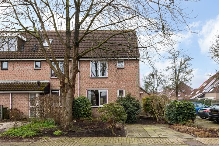 Haarmos 14 in Reeuwijk foto