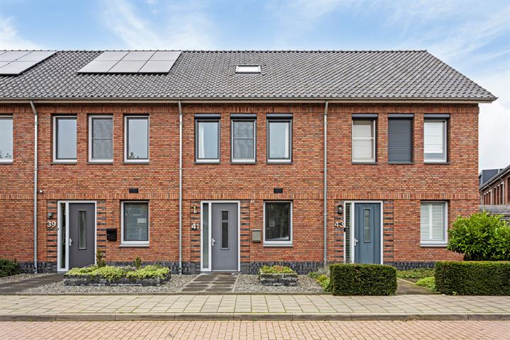 Hageheld 41 in Someren foto