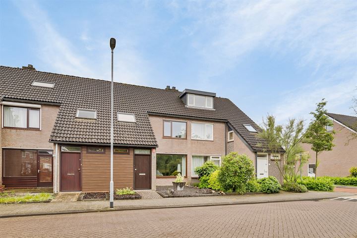 Haneven 29 in Goirle foto