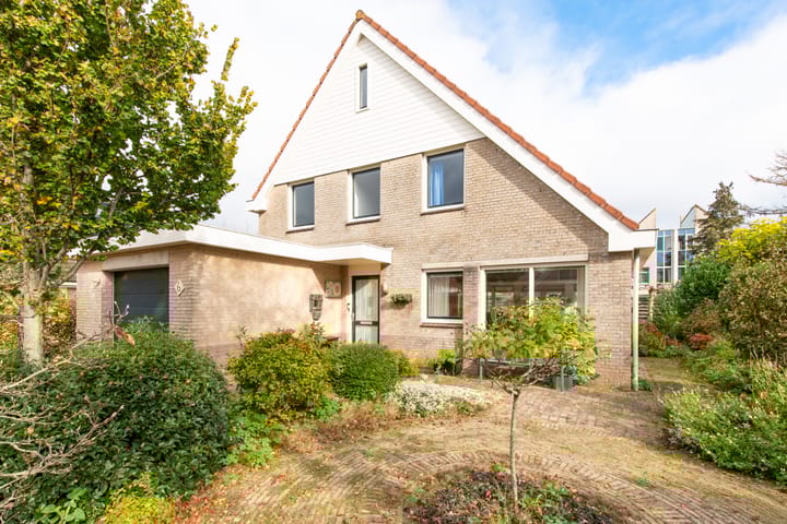 Harpij 6 in Heerhugowaard foto