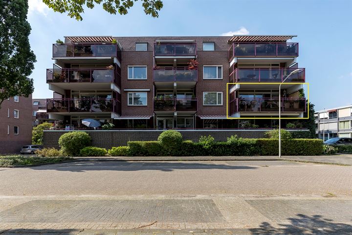 Hartenvier 55 in Best foto