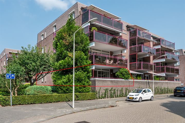 Hartenvier 77 in Best foto