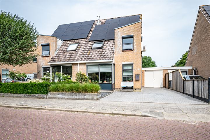Havik 6 in Tollebeek foto