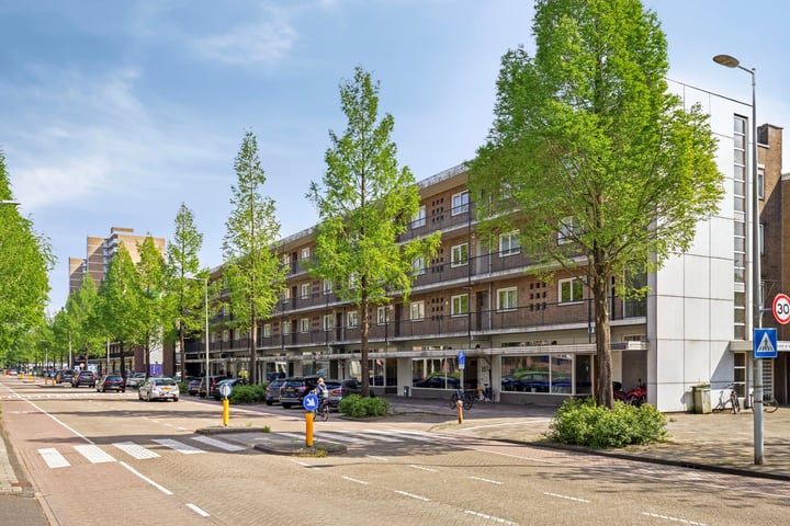 Havikshorst 123 in Amsterdam