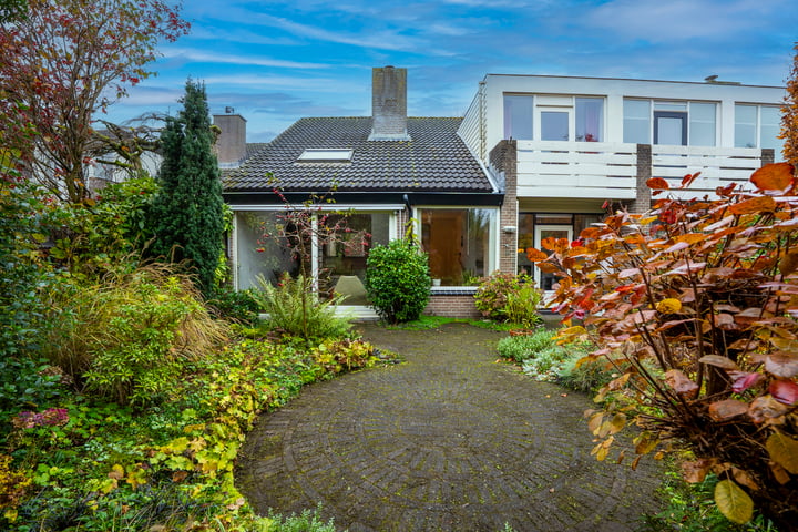 Havikskruid 21 in Maartensdijk foto