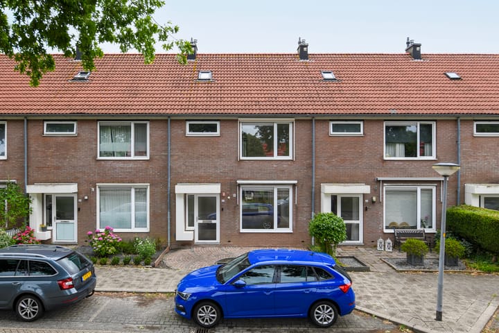 Havikskruid 85 in Zeewolde foto