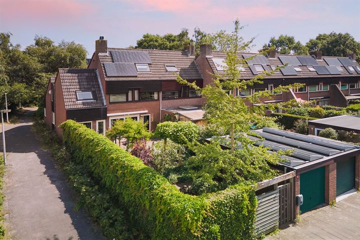 Heelblaadjespad 9 in Leiderdorp foto