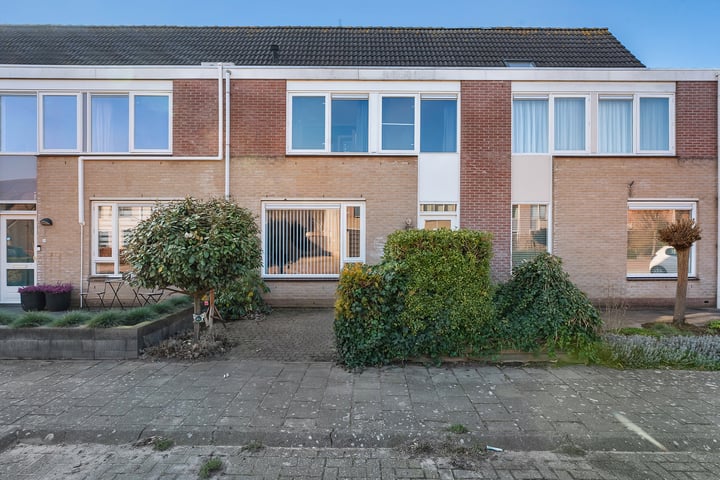 Heggemus 8 in Olst foto