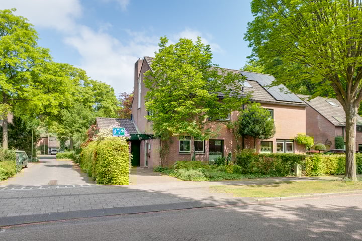 Heggerank 177 in Lochem foto