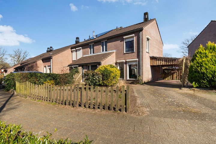 Heggerank 62 in Lochem