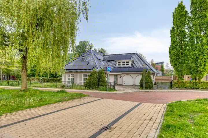 Heideanjer 12 in Drachten foto