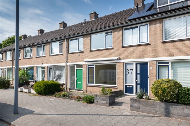 Heidekruid 39 in Rotterdam foto