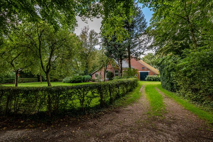 Heiveen 2 in Midlaren foto