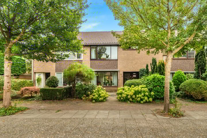 Helmbloem 3 in Castricum foto