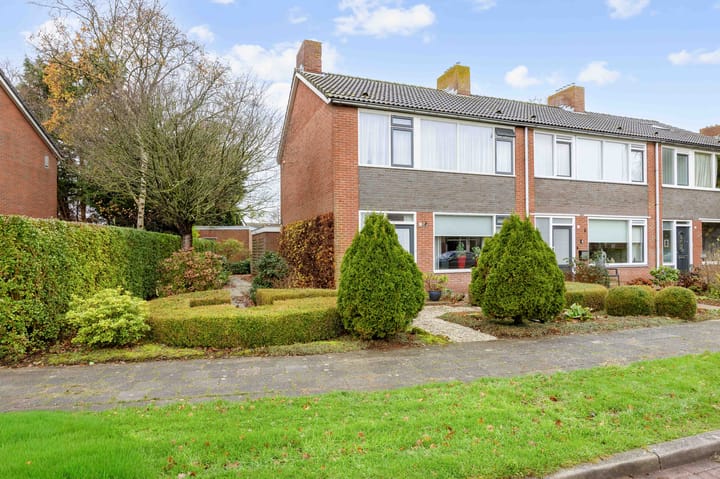 Helmer Molemastraat 50 in Warffum