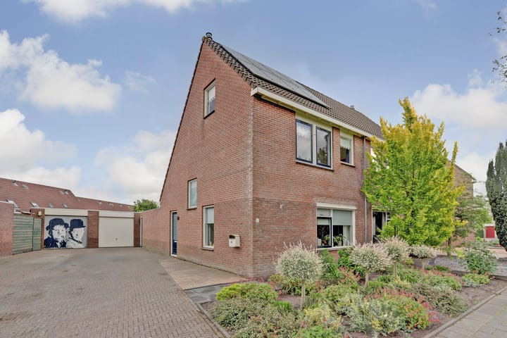 Helmhout 4 in Joure foto