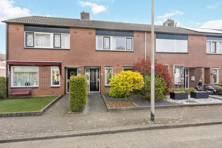 Helmkruid 31 in Oldenzaal foto