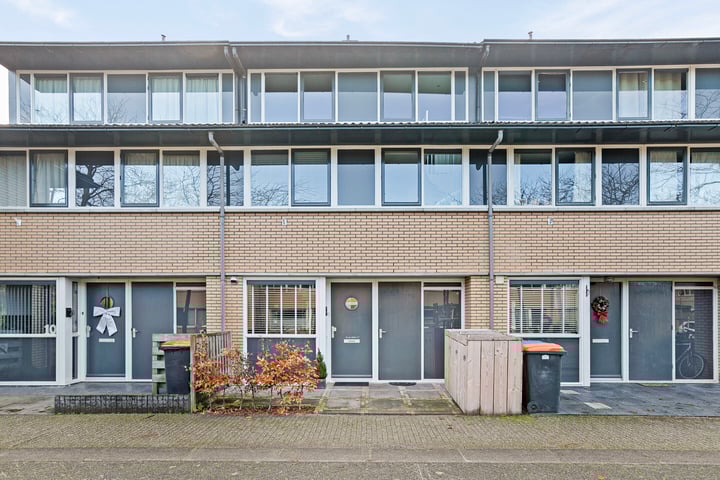 Helmkruid 8 in Amersfoort foto