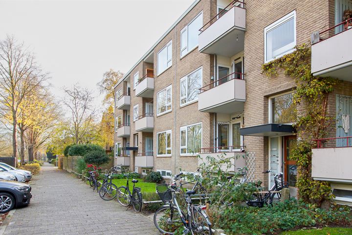 Helperzoom 135 in Groningen foto