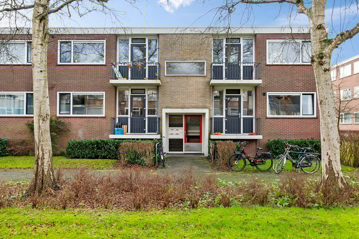 Helperzoom 289 in Groningen foto