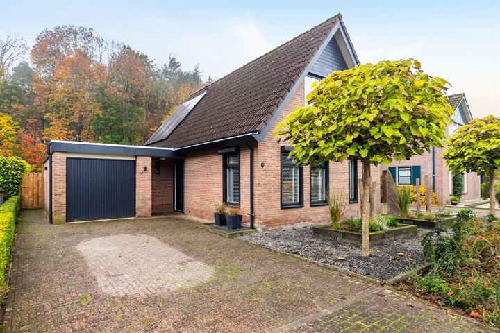 Hendrik Mesdagstraat 9 in Zelhem foto