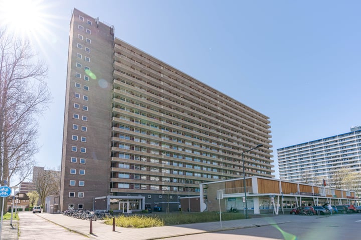Hendrik Tollensstraat 216 in Delft foto