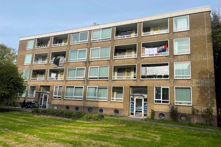 Hengelolaan 1000 in 's-Gravenhage foto