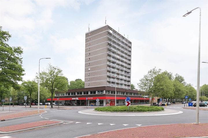 Hengelolaan 1146D in 's-Gravenhage foto