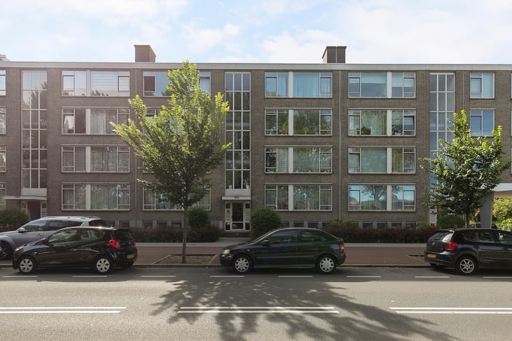 Hengelolaan 1196 in 's-Gravenhage