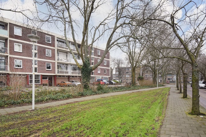 Hengelolaan 211B in 's-Gravenhage foto
