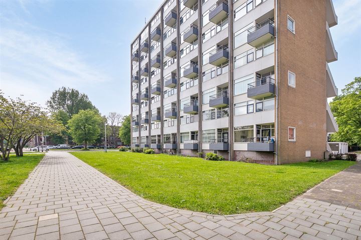Hengelolaan 3B in 's-Gravenhage foto