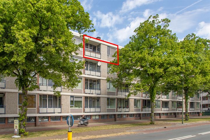 Hengelolaan 695 in 's-Gravenhage foto