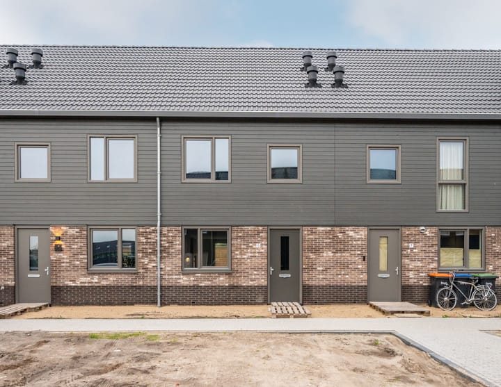 Herfstorchidee 5 in Lelystad foto