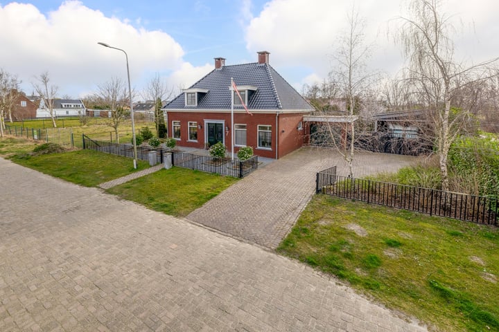 Herfstvlinder 7 in Standdaarbuiten
