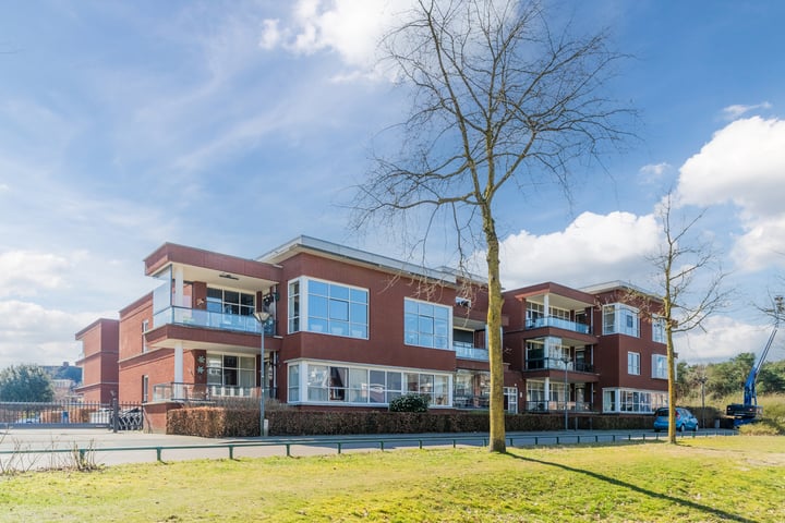 Hermelijnvlinder 67 in Oosterhout