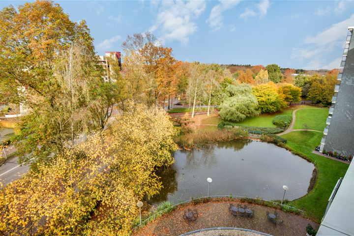 Herodotusplein 172 in Eindhoven foto