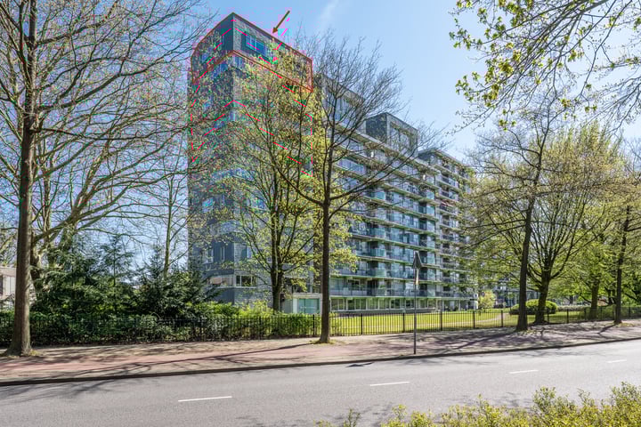 Herodotusplein 211 in Eindhoven foto