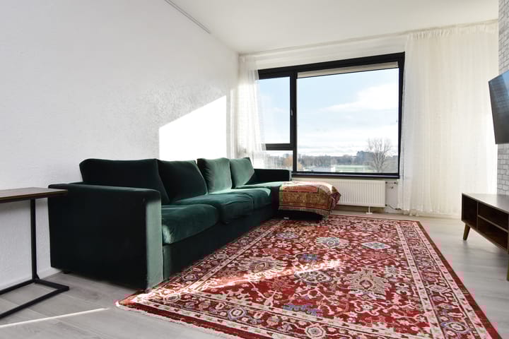 Hertenrade 442 in 's-Gravenhage