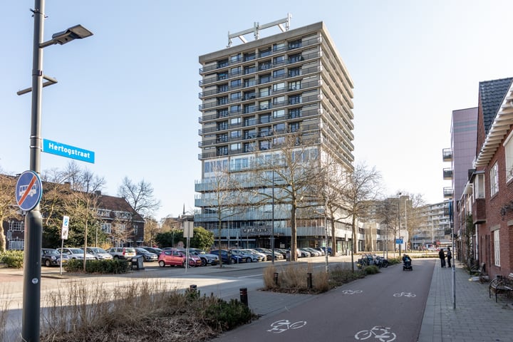 Hertog Hendrik van Brabantplein 100 in Eindhoven foto
