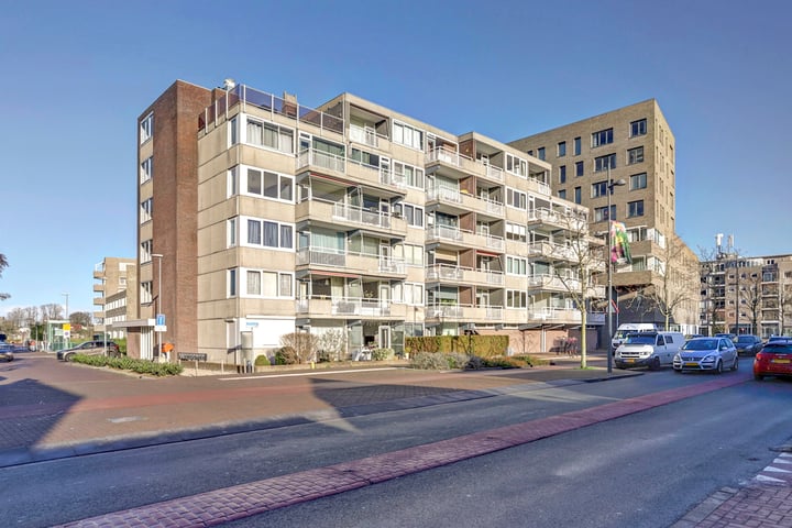 Het Haagje 31 in Hoogeveen foto