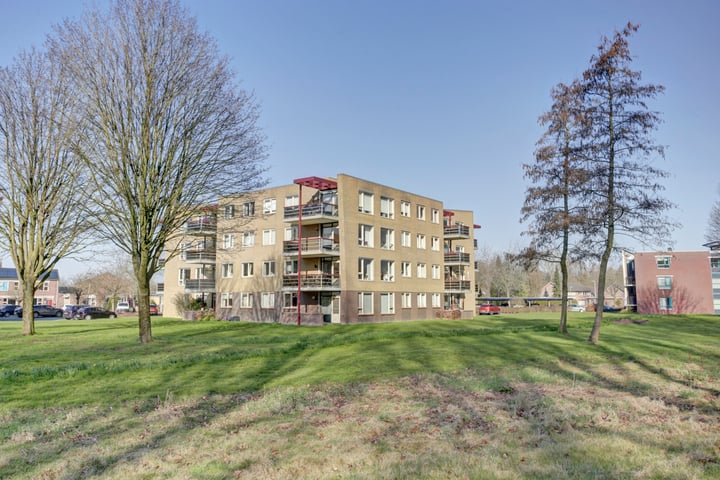 Het Spectrum 66 in Dronten foto
