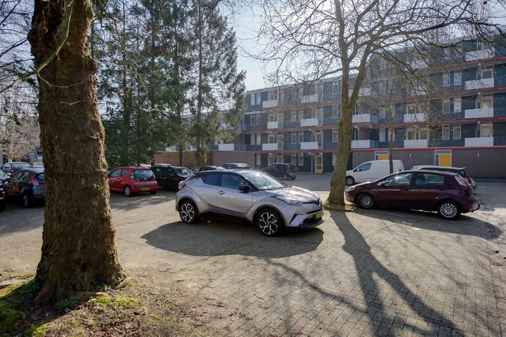 Heveapad 111 in Hoogezand foto