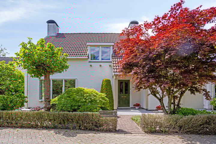 Hezelaar 35 in Gemert foto