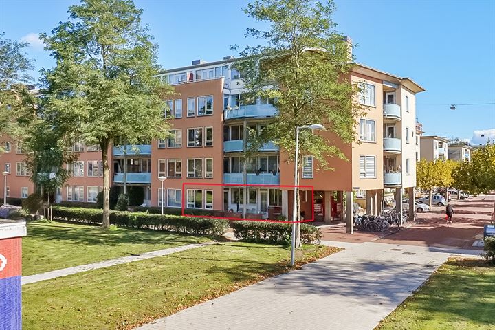 Hildo Kropplein 58 in Amsterdam foto