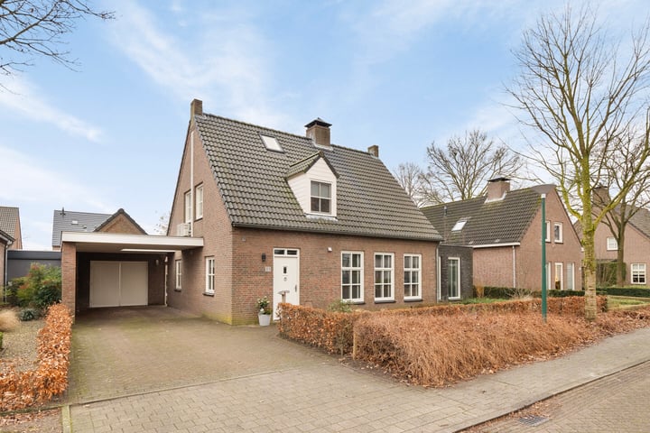 Hoefblad 14 in Luyksgestel foto