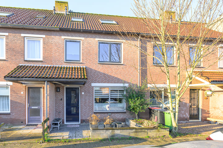 Hoefblad 166 in Zwaag foto