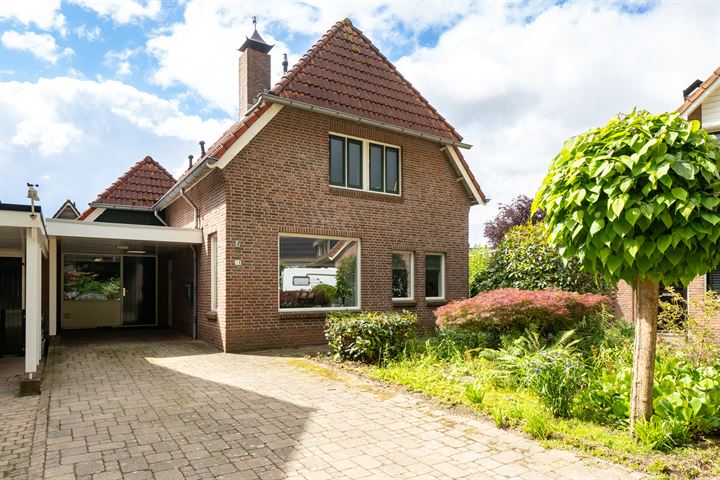 Hoefblad 21 in Borne foto