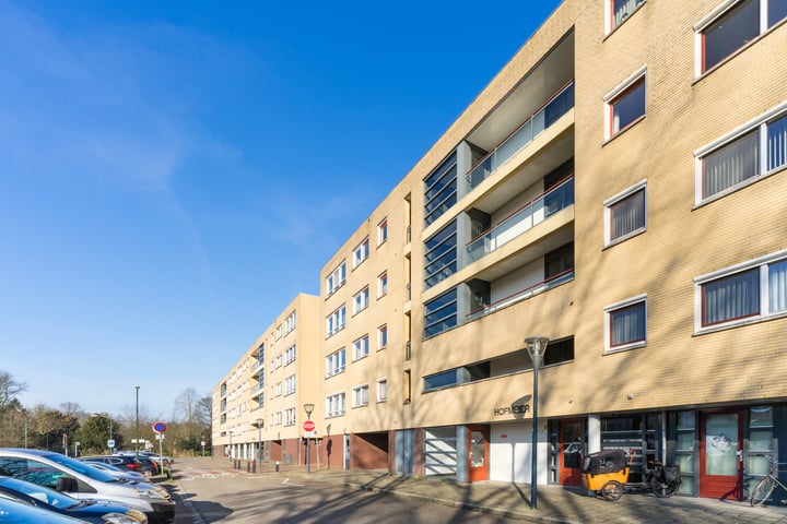 Hofdael 93 in Geldrop foto