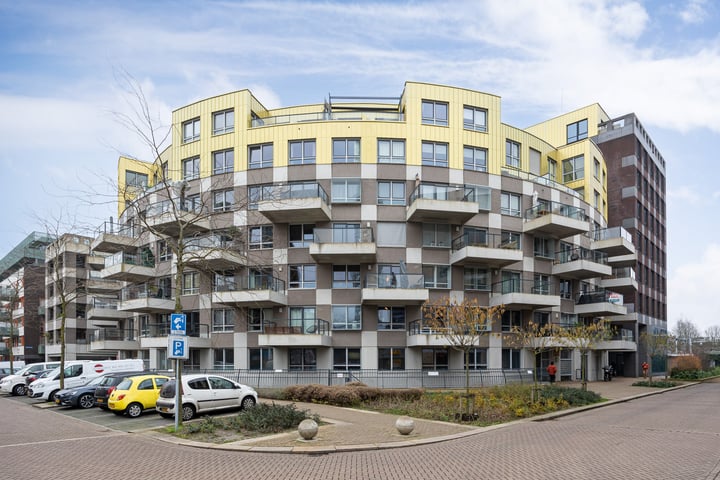 Hofmeesterstraat 20 in 's-Hertogenbosch foto
